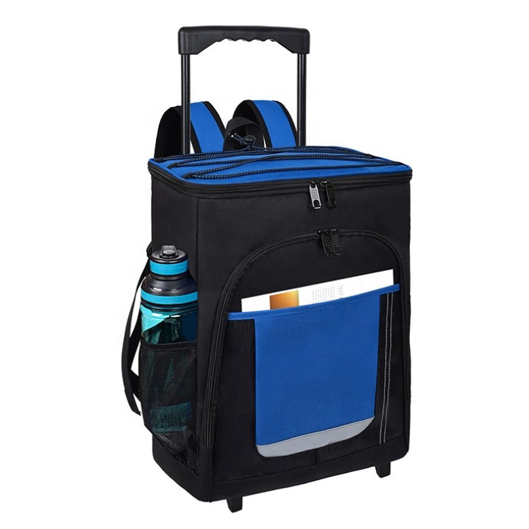 Custom Folding Luggage Casual Insulated Cooling Bag Backpack Versatile leakproof Bag